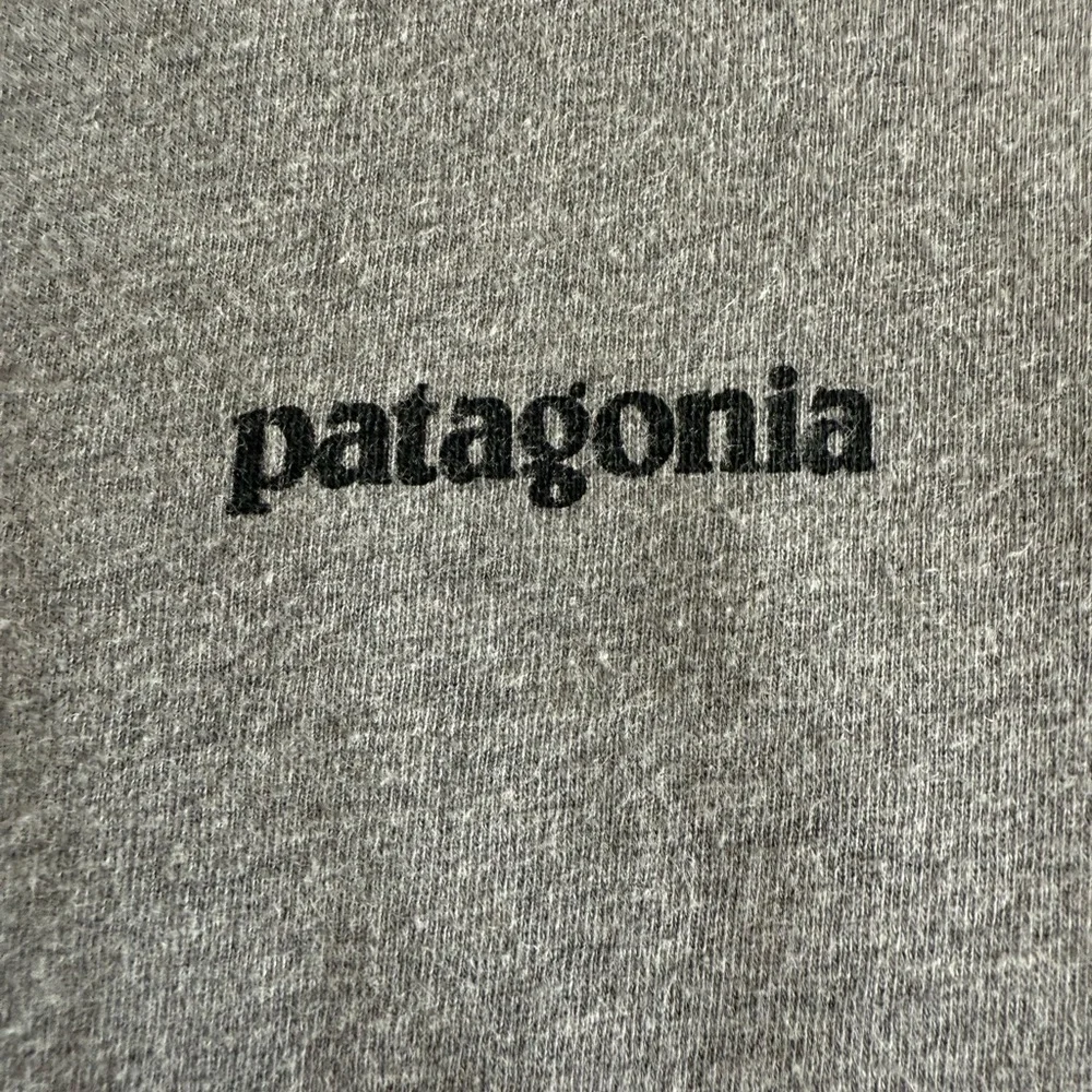 Patagonia Gray Short Sleeve Tee Classic Crew Neck - Picture 3 of 11